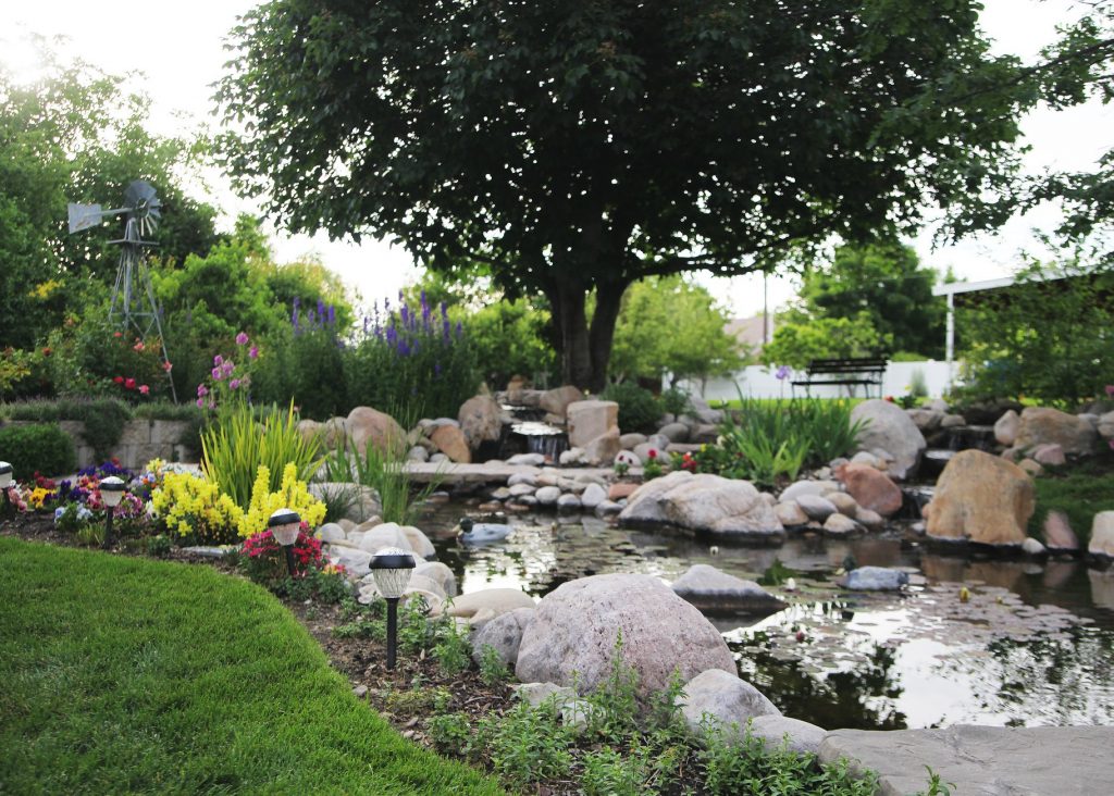 image of garden with pond